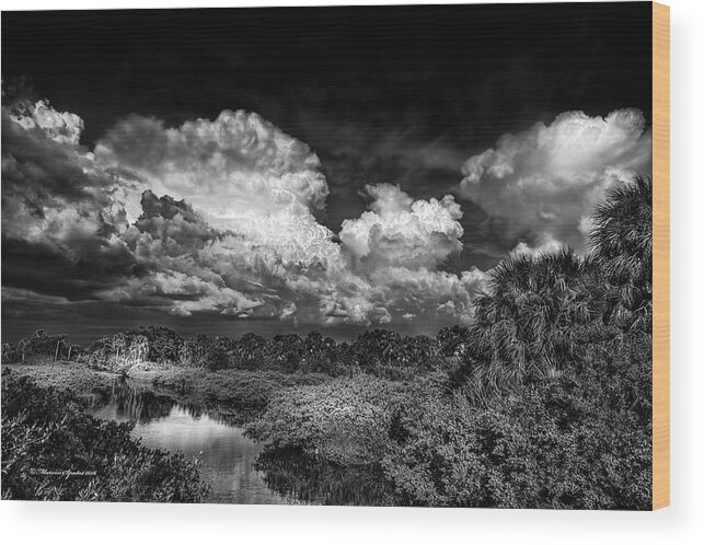 Central Wood Print featuring the photograph Rain And Lighting by Marvin Spates