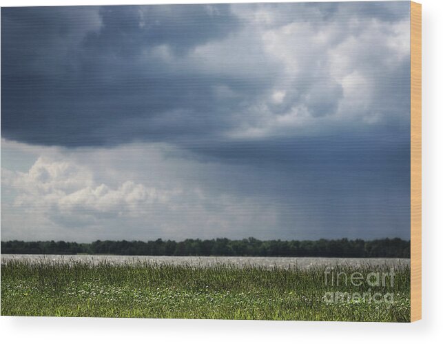Rend Lake Wood Print featuring the photograph Rain Cloud by Andrea Silies