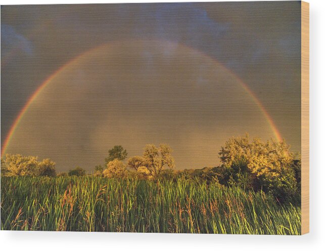 Rainbow Wood Print featuring the photograph Rainbow by Dave Rennie