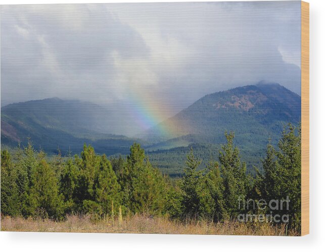 Rainbow Wood Print featuring the photograph Rainbow Valley by Carol Groenen