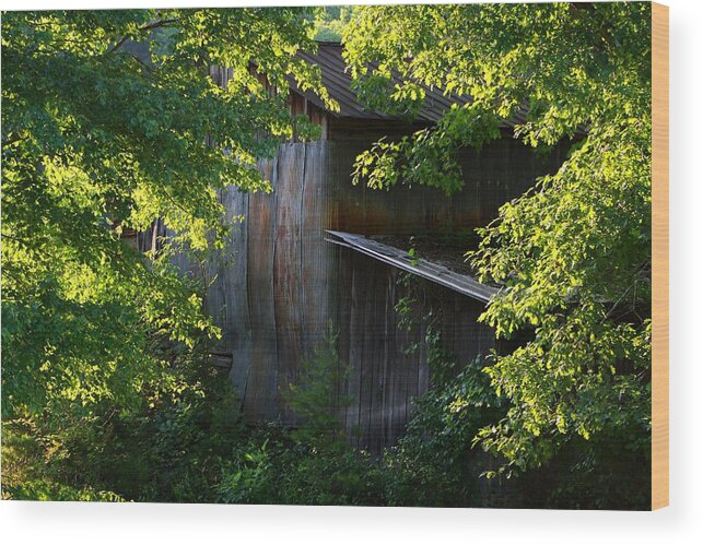 Barn Wood Print featuring the photograph Ramshackle Shack in the Summer by Kathryn Meyer
