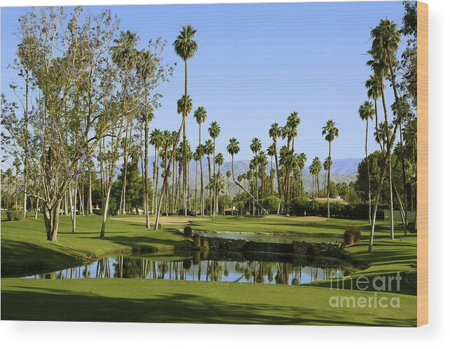 Rancho Mirage Golf Course Wood Print featuring the photograph Rancho Mirage Golf Course by Nina Prommer