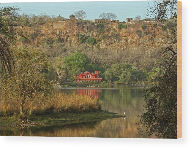 2017 Wood Print featuring the photograph Ranthambore by Jean-Luc Baron