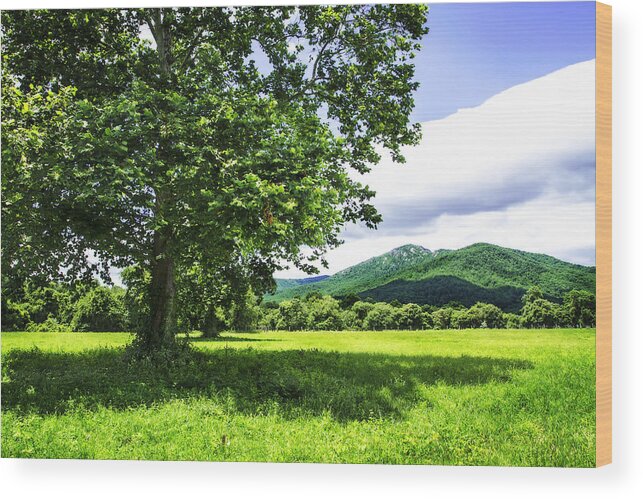 Color Wood Print featuring the photograph Rappahannock County -2 by Alan Hausenflock