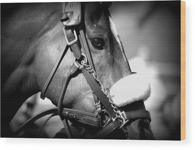 Horse Wood Print featuring the photograph Ready by Lori Seaman