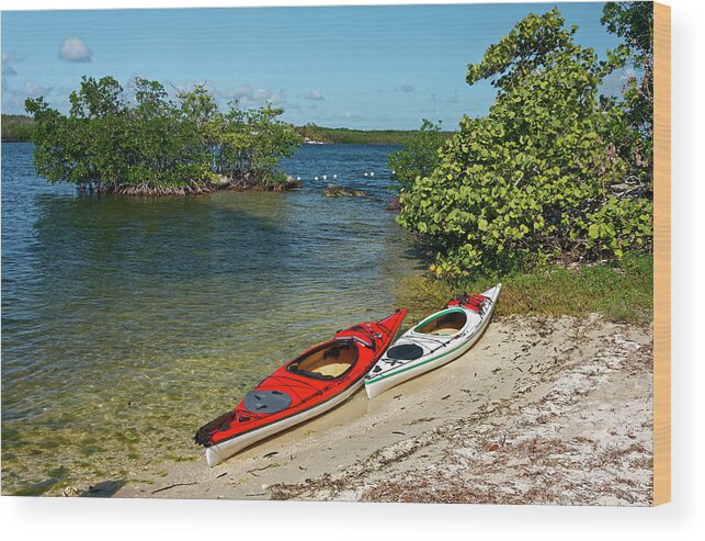 2 Kayaks Wood Print featuring the photograph Ready to Paddle by Sally Weigand