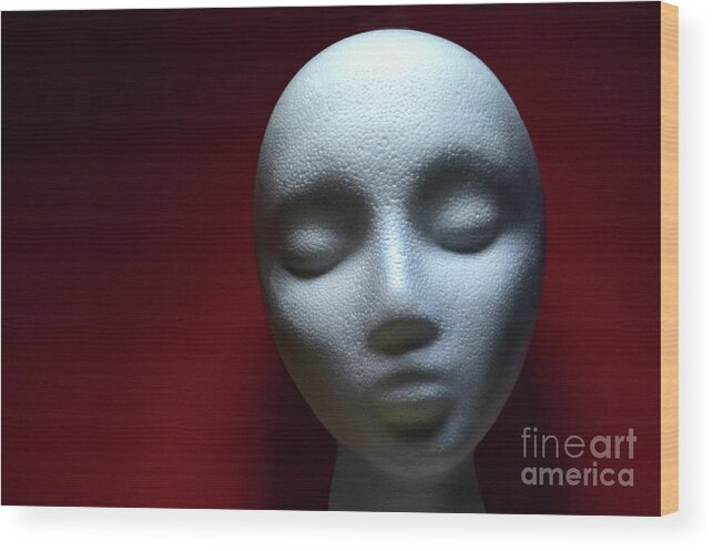 Concept Wood Print featuring the photograph Red And Head by Dan Holm