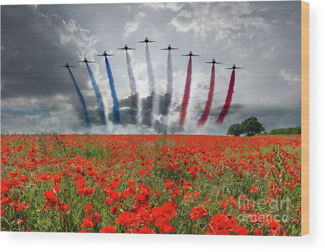 Red Arrows Wood Print featuring the digital art Red Arrows Poppy Field by Airpower Art