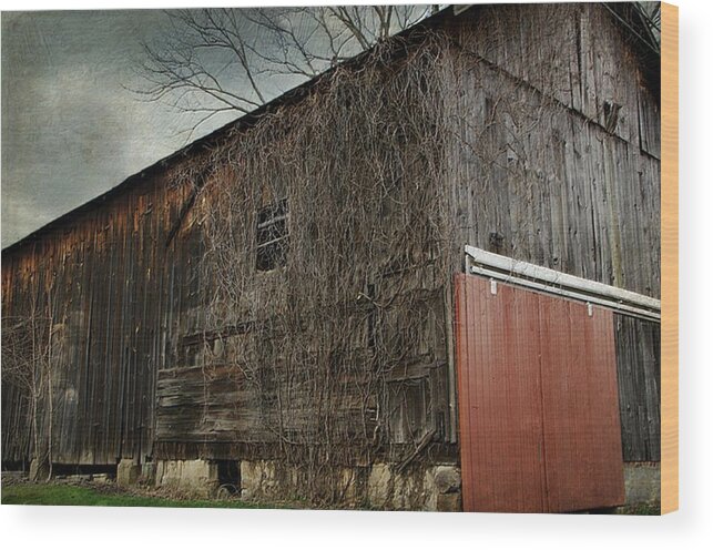 Barn Wood Print featuring the photograph Red Barn Doors by Stephanie Calhoun