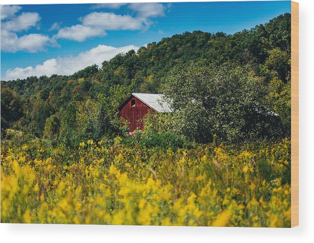 Barn Wood Print featuring the photograph Red Barn In Early Autumn by Shane Holsclaw
