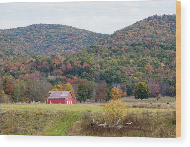 Photosbymch Wood Print featuring the photograph Red Barn in the Fall by M C Hood