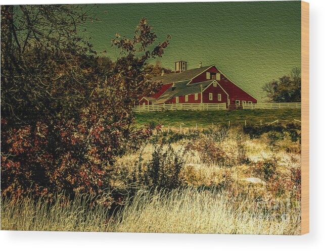 Rural Wood Print featuring the photograph Red Barn by Mim White