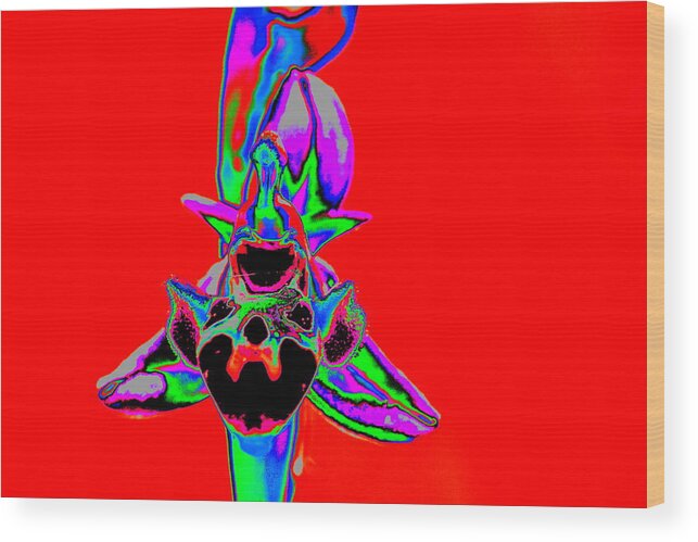 Flowers Wood Print featuring the photograph Red Bee Orchid by Richard Patmore