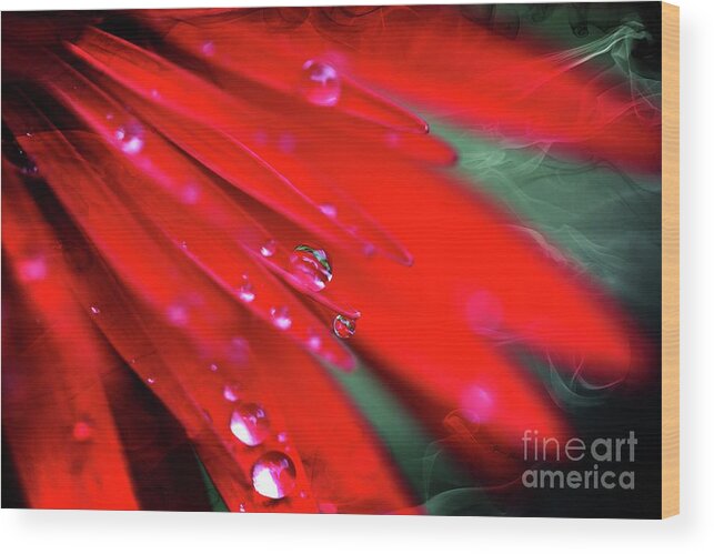 Flowers Wood Print featuring the photograph Red droplets by Yumi Johnson
