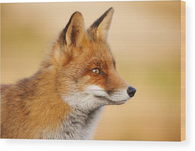 Red Fox Face Wood Print By Roeselien Raimond
