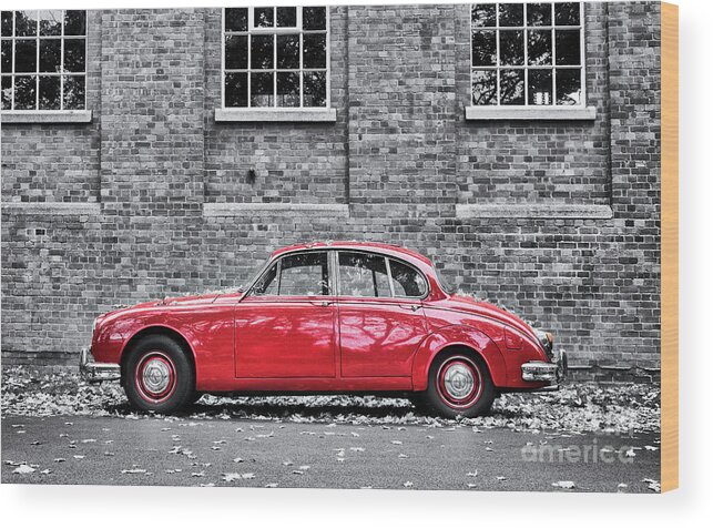 Jaguar Wood Print featuring the photograph Red Jag by Tim Gainey