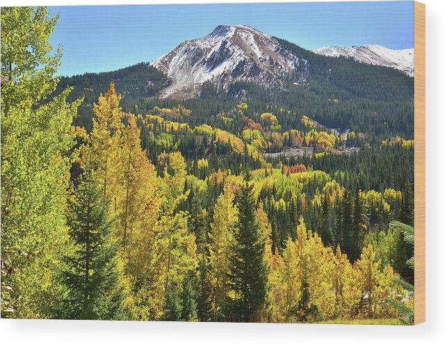 Colorado Wood Print featuring the photograph Red Mountain Fall Color by Ray Mathis