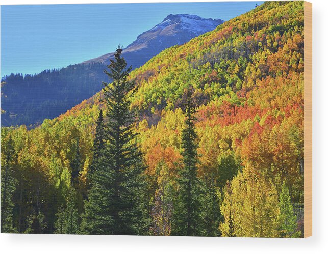 Colorado Wood Print featuring the photograph Red Mountain Pass Fall Color by Ray Mathis