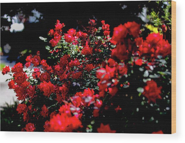 Flowers Wood Print featuring the digital art Red on Red by Ed Stines