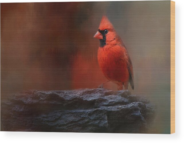 Jai Johnson Wood Print featuring the photograph Red On The Rocks - Cardinal Bird Art by Jai Johnson
