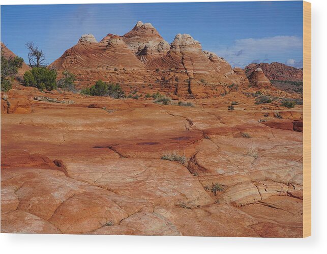Coyote Wood Print featuring the photograph Red Rock Buttes by Tranquil Light Photography