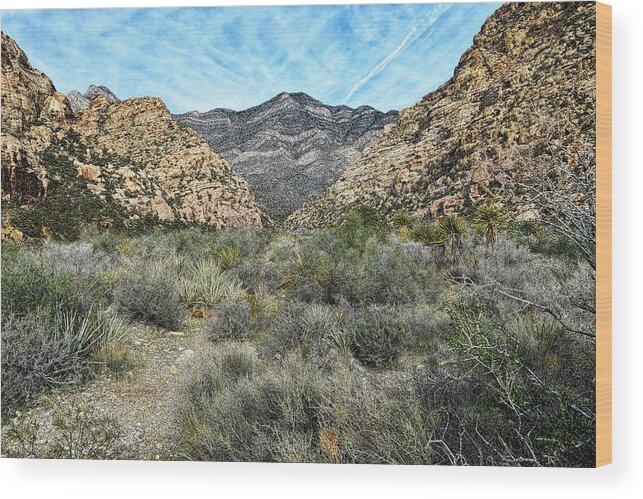 Red Rocks Wood Print featuring the photograph Red Rock Canyon - Nevada by Glenn McCarthy Art and Photography