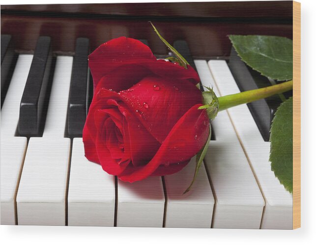 Red Rose Roses Wood Print featuring the photograph Red rose on piano keys by Garry Gay