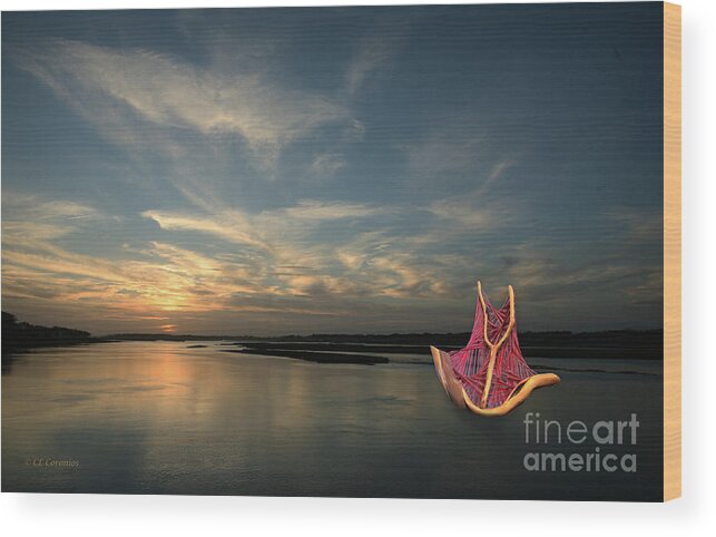Carol Lynn Coronios Wood Print featuring the photograph Red Sails in the Sunset by Carol Lynn Coronios