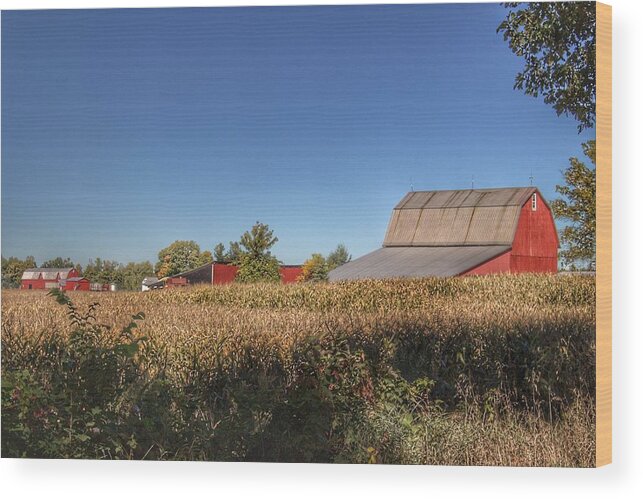 Barn Wood Print featuring the photograph 0042 - Red Saltbox Barn by Sheryl L Sutter