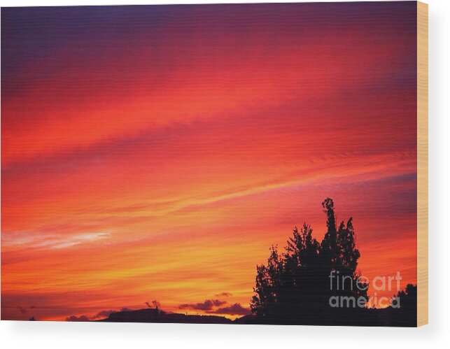 Sunset Wood Print featuring the photograph Red Skies at Night by Nick Gustafson