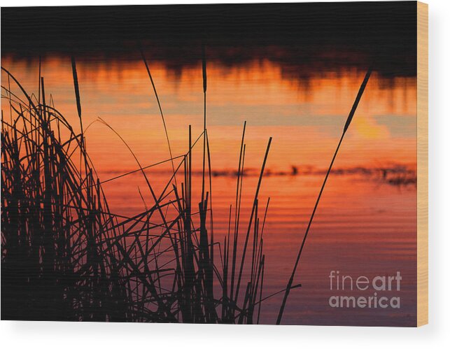 Sunsets Wood Print featuring the photograph Red Skies by Jim Garrison