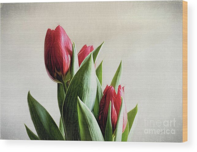 Americana Wood Print featuring the digital art Red Tulips by Elijah Knight