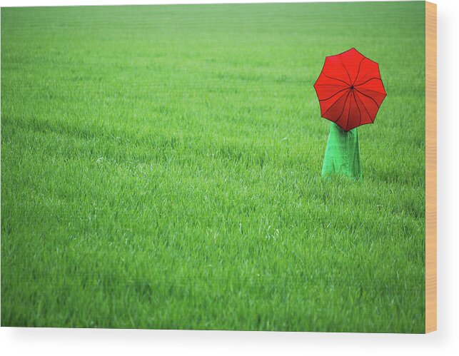Barley Field Wood Print featuring the photograph Red Umbrella in Green Field by Maggie Mccall