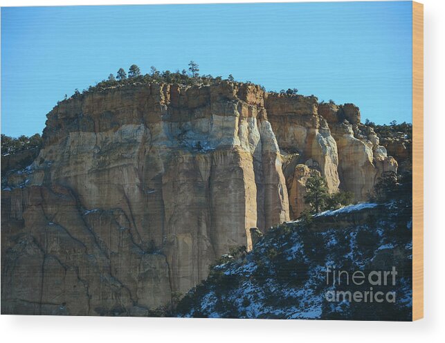 Southwest Landscape Wood Print featuring the photograph Red Velvet by Robert WK Clark