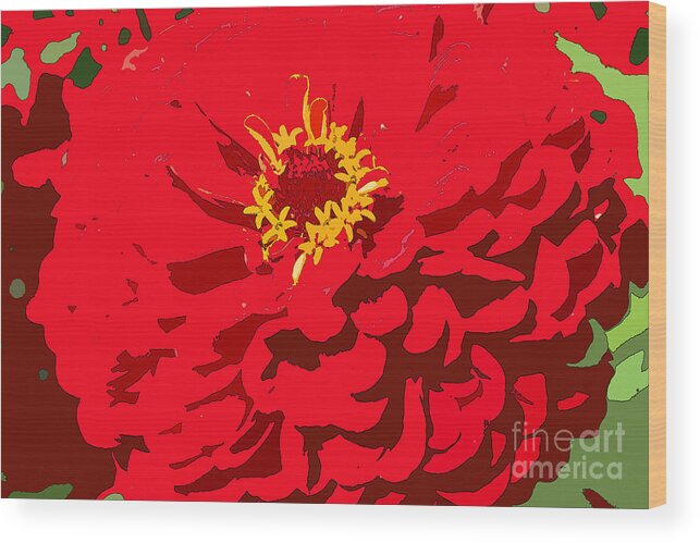 Zinnia Wood Print featuring the photograph Red Zinnia by Jeanette French