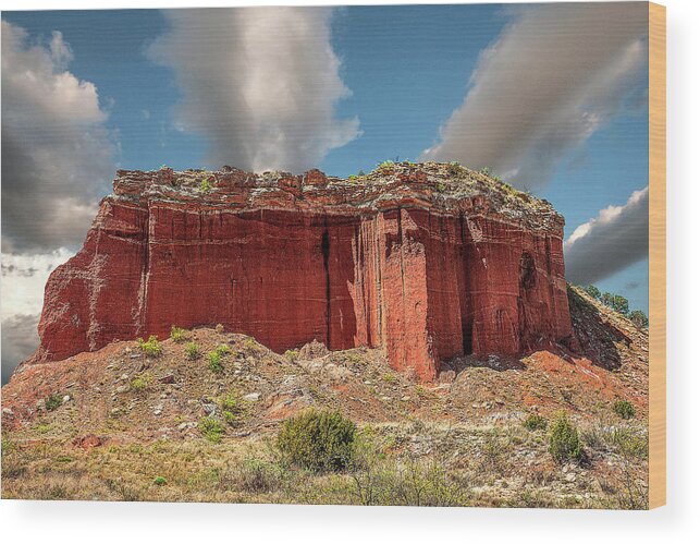 Nature Wood Print featuring the photograph RedRock by Scott Cordell