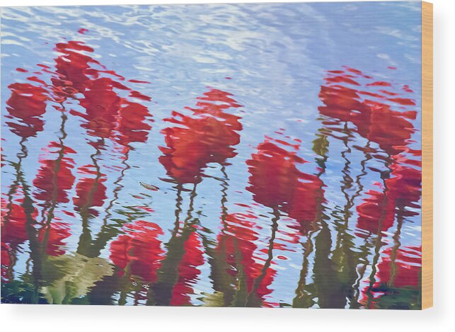 Reflection Wood Print featuring the photograph Reflected Tulips by Tom Vaughan