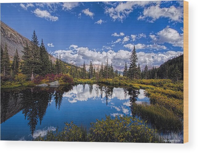 Sky Wood Print featuring the photograph Reflecting by Jeff Niederstadt