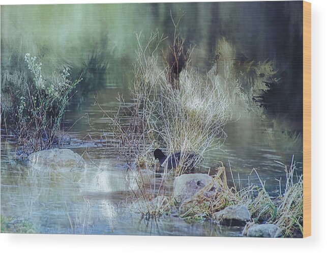 Coot Wood Print featuring the photograph Reflecting On A Misty Morning by Theresa Campbell