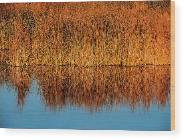 Colorado Wood Print featuring the photograph Reflection by Jim Benest