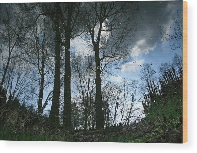 Nature Wood Print featuring the photograph Reflection by Marta Grabska
