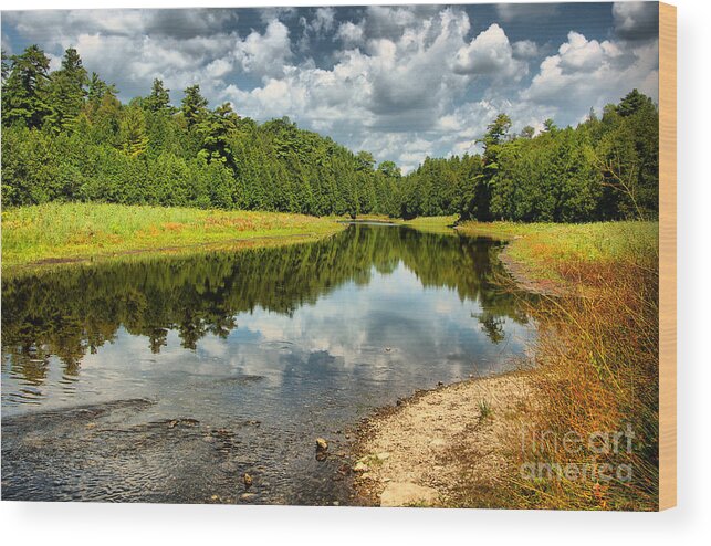 Cloud Wood Print featuring the photograph Reflection of Nature by Joe Ng