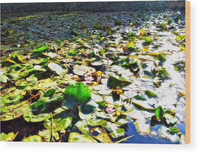 Lily Pond Wood Print featuring the photograph Reflections Across The Lily Pond by Glenn McCarthy Art and Photography