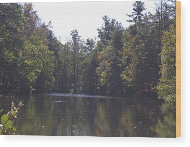 Lake Wood Print featuring the photograph Reflections by Ali Baucom