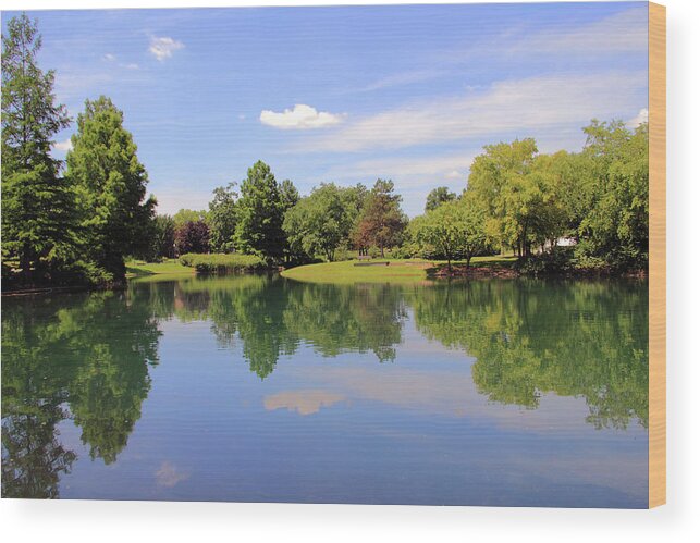 Pond Wood Print featuring the photograph Reflections in a Pond by Angela Murdock