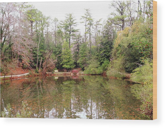 American Wood Print featuring the photograph Reflections by Lou Ford