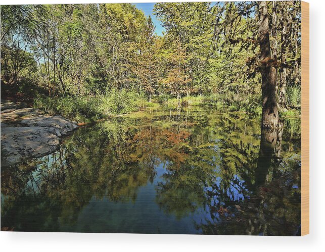 Krause Springs Wood Print featuring the photograph Reflections of Fall by Judy Vincent
