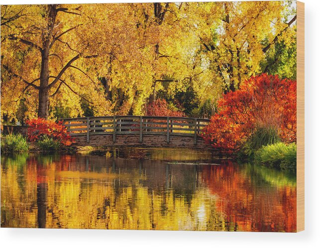 Colorado Wood Print featuring the photograph Reflections of Fall by Kristal Kraft