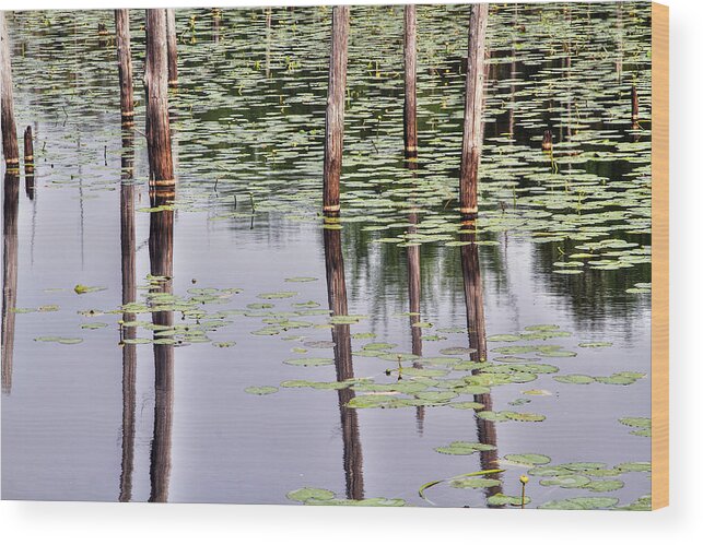 Franklin Parker Preserve Wood Print featuring the photograph Reflections of Franklin Parker by Dawn J Benko