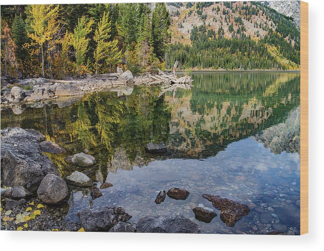 Grand Teton National Park Wood Print featuring the photograph Reflections on Jenny Lake by Roslyn Wilkins